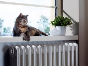 pet owners need to maintain their HVAC system